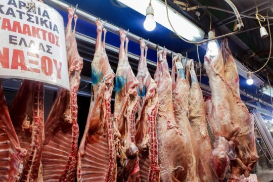 Η σφαγή των αμνών σε αναμονή